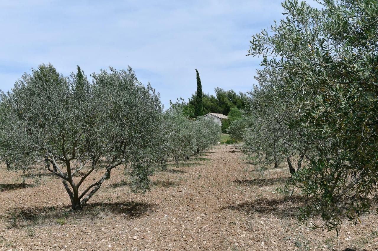 Le Mas Des Genets Saint-Rémy-de-Provence Exterior foto